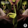 About Wild Guess Song