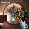 About Apologize Song