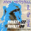 About Monkey See, Monkey Do Song