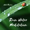 Rain Water Meditation