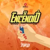 About Se Encendio Song