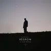 About Regrow Song