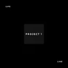 Project 1-Track One