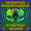 About Homo Sapiens Extraterrestrials Song