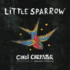About Little Sparrow Song
