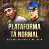 About Plataforma tá Normal Song