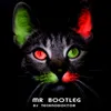 About Mr Bootleg Song