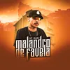 About Malandro De Favela Song