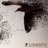 About Liberty Song