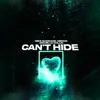 About Can't Hide Song