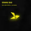 About Striking Gold Song