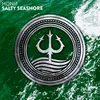 About Salty Seashore Song