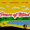 About Peace of Mind Song