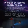 Sins of Gaia-Kashmere Remix