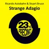 Strange Adagio-Radio Edit Vocal Mix