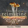 Mycelia-Fantastic Fungi: Reimagine