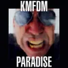 About PARADISE Song