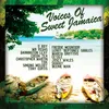 The Voices Of Sweet Jamaica-All Star Remix