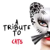 Jellicle Cats (The Jellicle Ball)