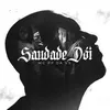 About Saudade Dói Song