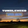 About Tumbleweed Song