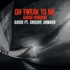 About Oh Tweak to Me Gaudi Remix Song