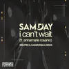 About I Can't Wait Sighter & Harmonika Remix Song