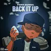 About Back It Up Song