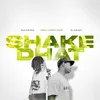 About Shake Dhat Song