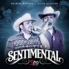 About Sentimental Song