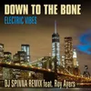 About Electric Vibes DJ Spinna Remix Song