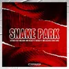 About Snake Park Song