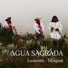 Lamento (Music from the Documentary "Agua Sagrada")