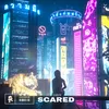 About Scared Song