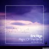 Flight Of The Birds (Owen Ear Remix)