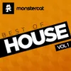 Best of House Vol. 1 (Album Mix)