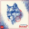 About Instinct Vol. 2 (Album Mix) Song