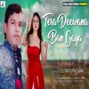 About Tera Deewana Ban Gaya Song