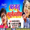 About Chalna Tu Mahuli Bajariya Ge Chhaudi Song