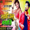 About Ladki Ulloo Banati Hai Song