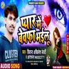 About Pyar Me Bewafa Bhailu Song