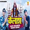 About Kailash Hindi Song