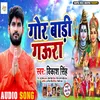 About Gor Badi Gaura Song