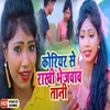 About Courier Se Rakhi Bhejwava Tani Song