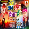 About Jaan Raheli Pinjara M Song