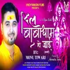 About Dil Baba Dham Ho Jaai Song