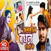 About Anmol Bandhan Rakhi Ke Song