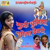 About Gurjar Chuniya Chola Devro Song