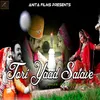 About Thori Yaad Satave Rajasthani Song