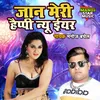 About Jaan Meri Happy New Year Song